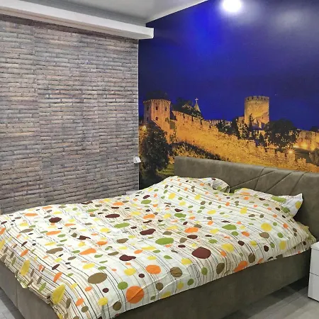 Splav Guest Hause Gusar בית הארחה *