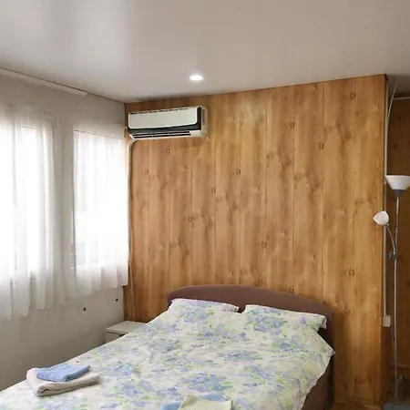 בית הארחה Splav Guest Hause Gusar בלגרד